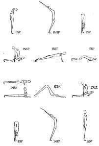 12 Movimientos Saludo Sol